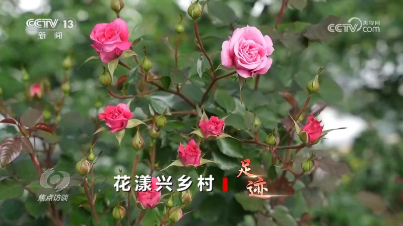 幸福产业”书写乡村振兴“花样”答卷(图2)